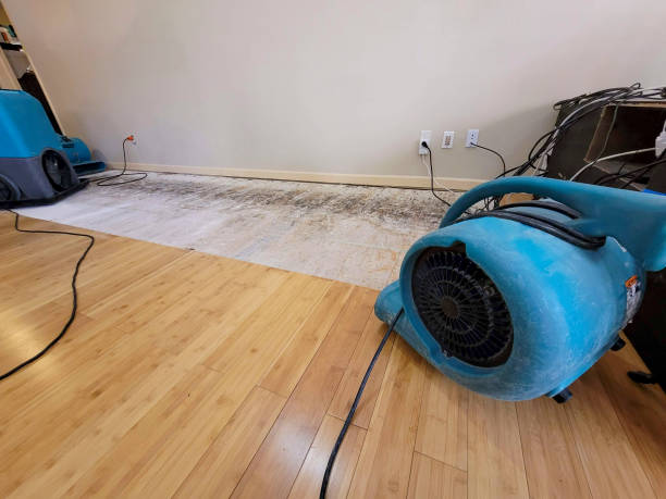 Professional Ceiling Water Damage Repair technician working in Mallory, WV